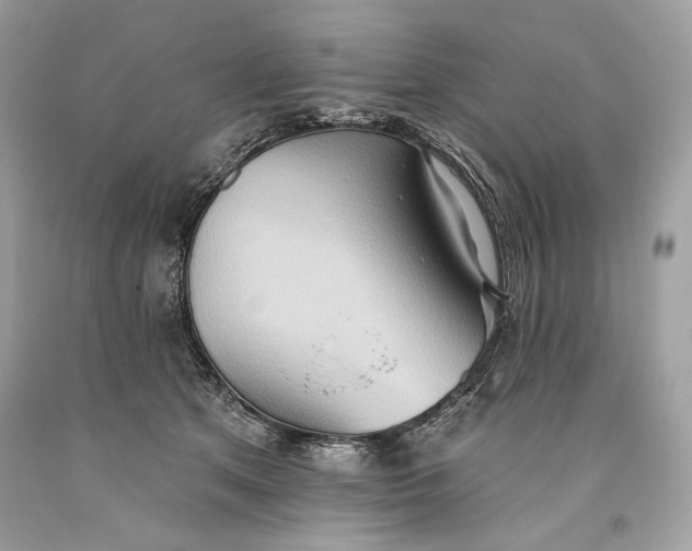 X0000093520513200710261222