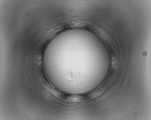 X0000093520514200710261222