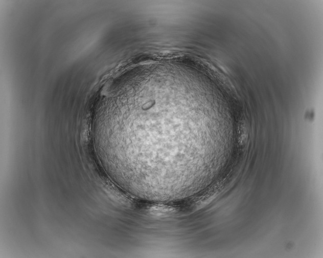 X0000093520515200710261222