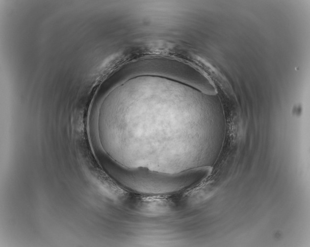 X0000093520516200710261222