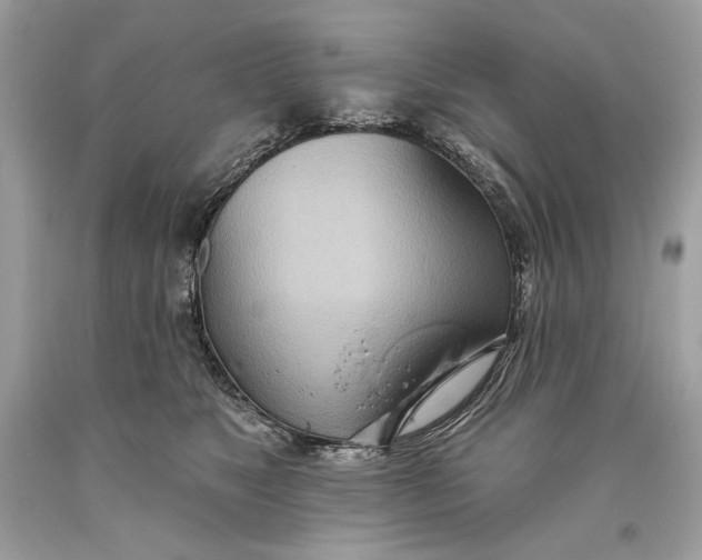 X0000093520517200710261222