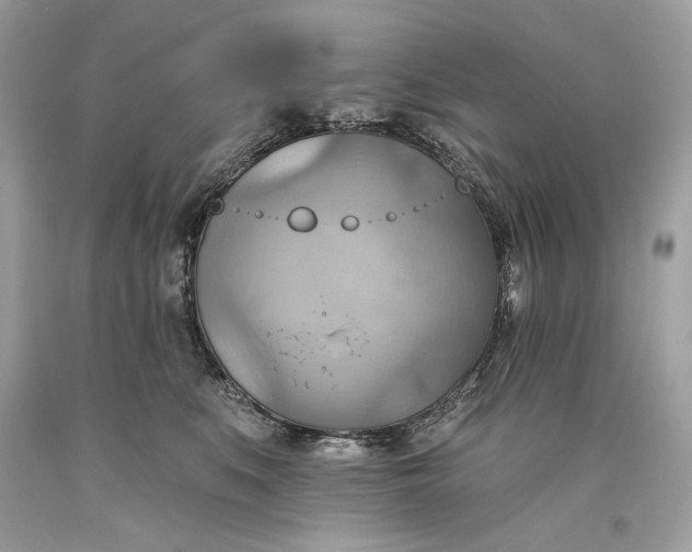 X0000093520519200710261222