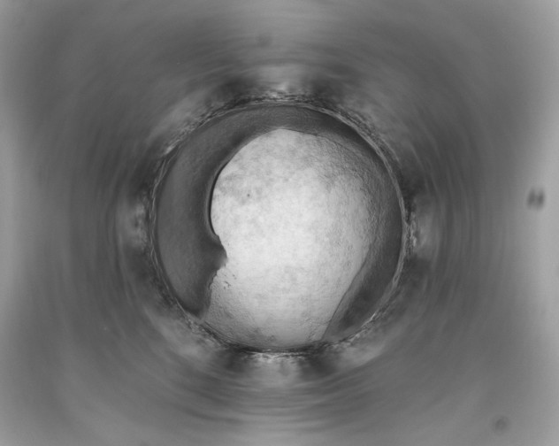 X0000093520520200710261222