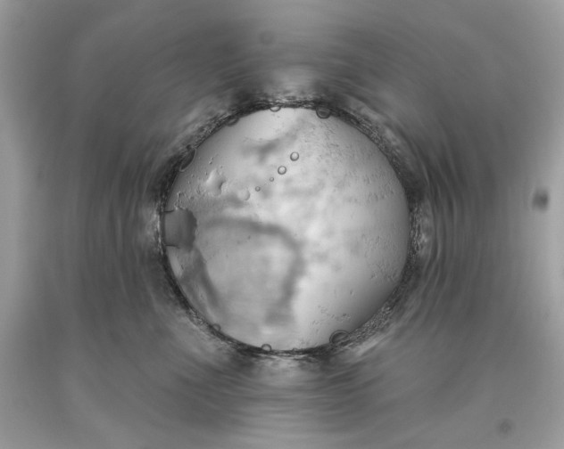 X0000093520523200710261222