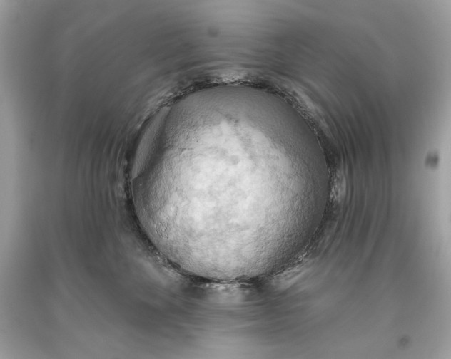 X0000093520524200710261222