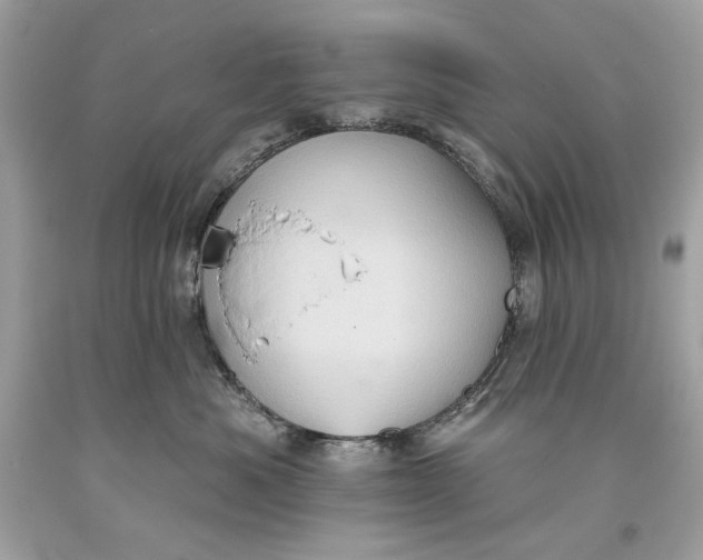 X0000093520525200710261222