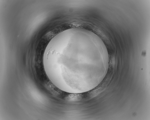 X0000093520526200710261222