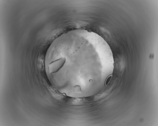 X0000093520527200710261222