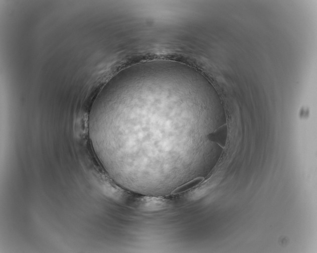 X0000093520528200710261222