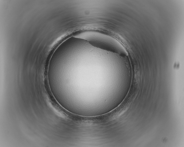 X0000093520530200710261221