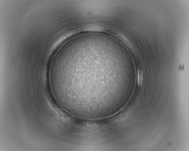 X0000093520531200710261221