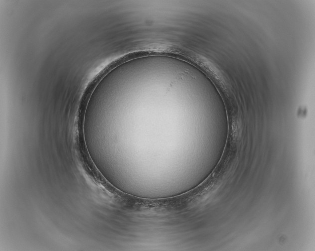 X0000093520532200710261221