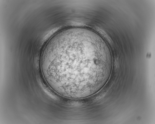 X0000093520533200710261221