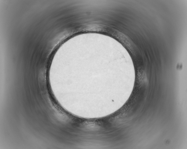 X0000093520534200710261221