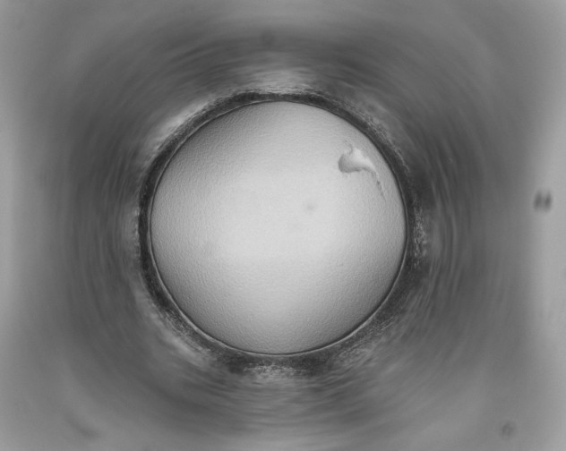 X0000093520535200710261221