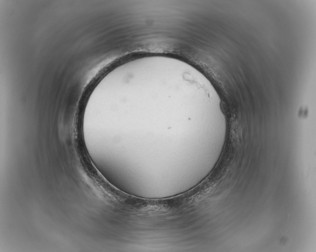 X0000093520536200710261221