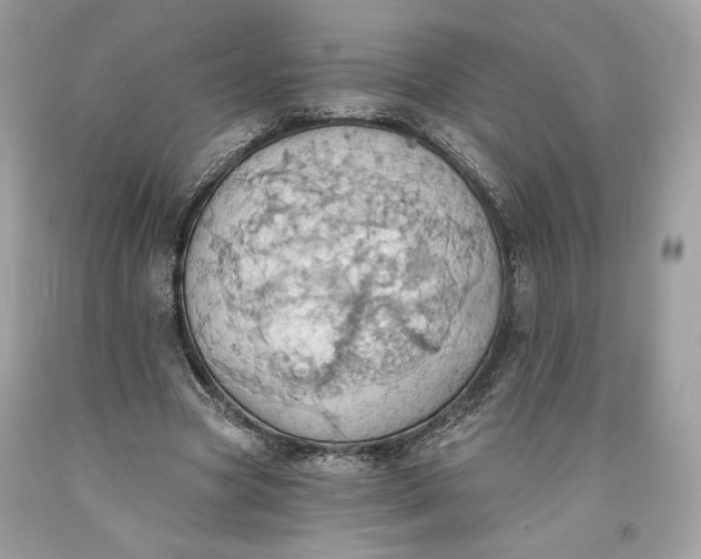 X0000093520537200710261221