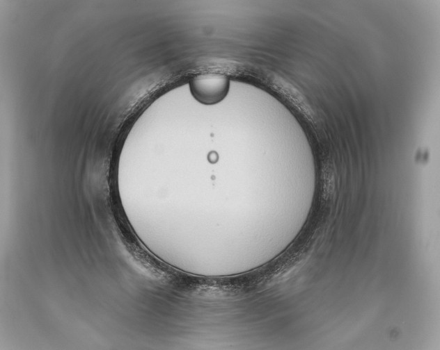 X0000093520538200710261221