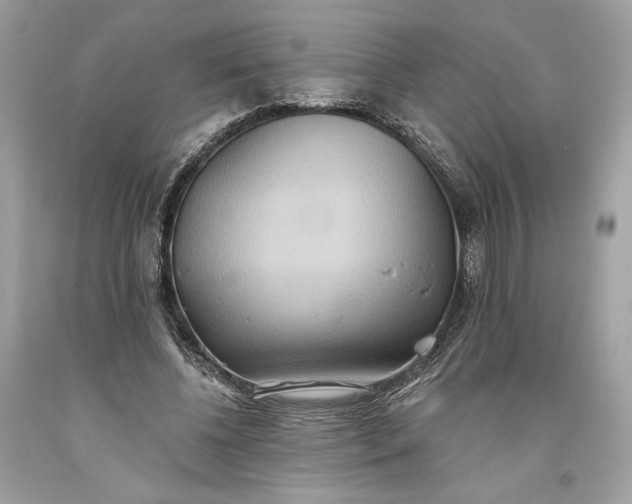 X0000093520540200710261222