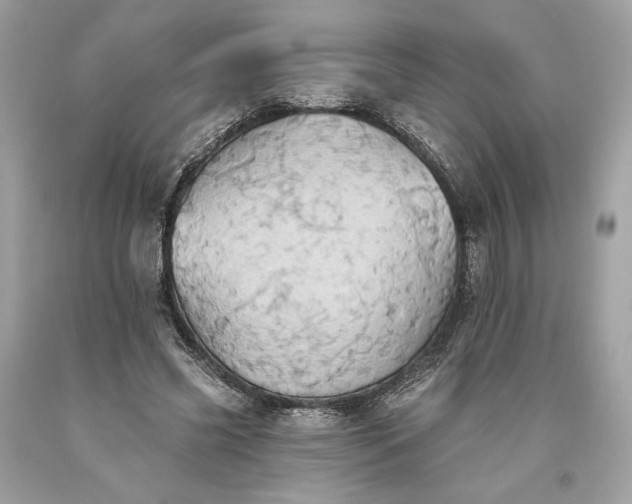 X0000093520541200710261222