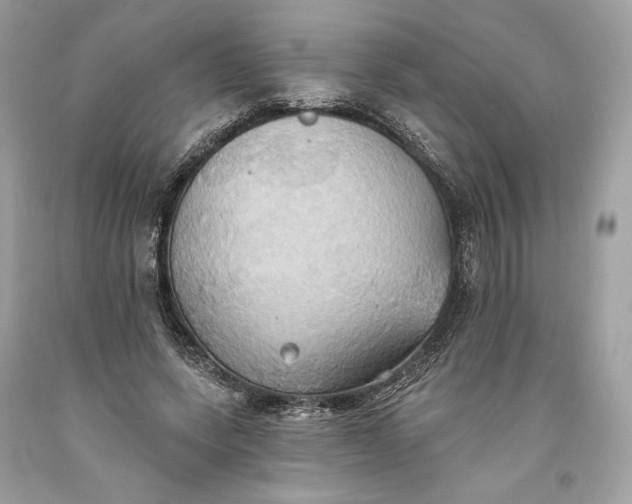 X0000093520543200710261222