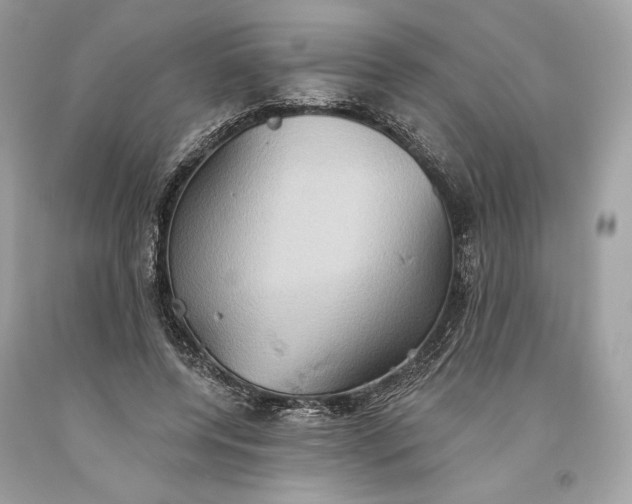 X0000093520544200710261222