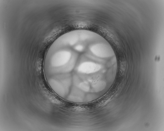 X0000093520545200710261222