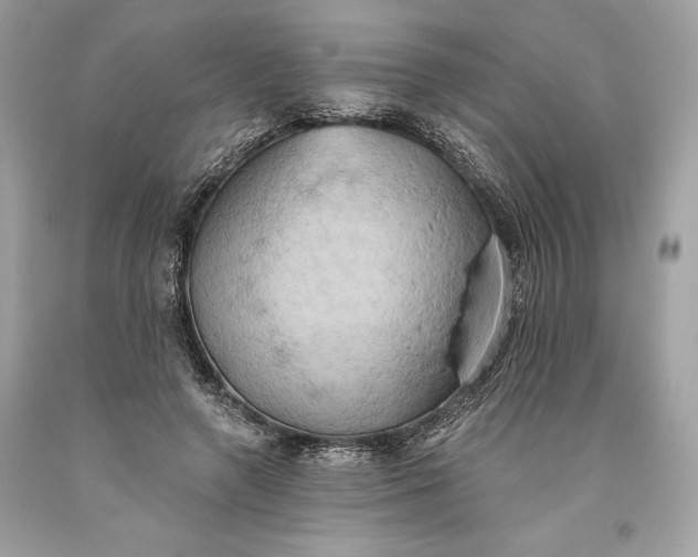 X0000093520546200710261222