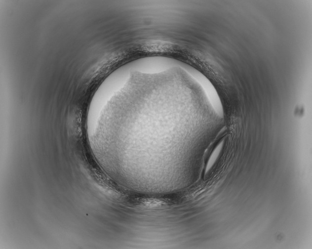 X0000093520547200710261222