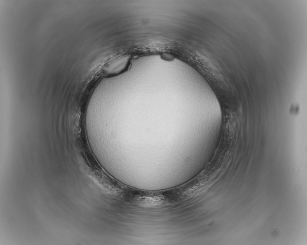 X0000093520548200710261222