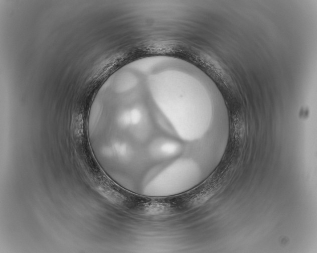 X0000093520549200710261222