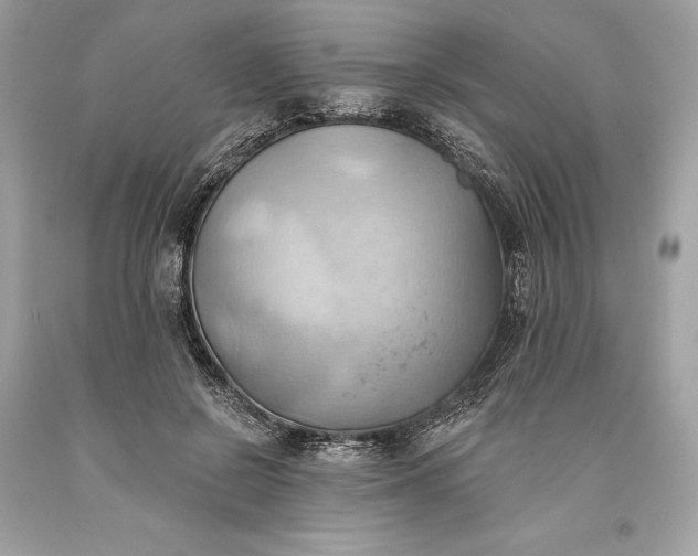 X0000093520550200710261222