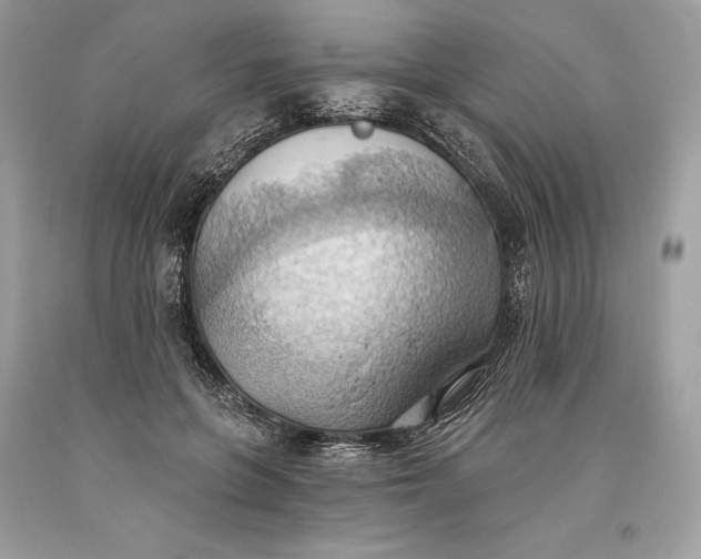 X0000093520551200710261222