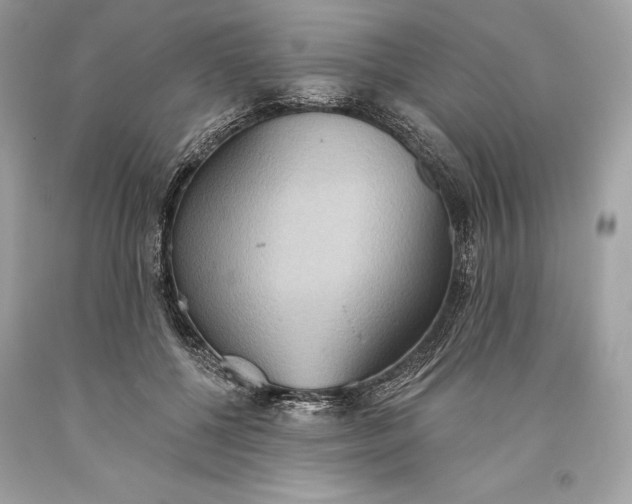 X0000093520552200710261222