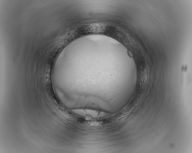 X0000093520553200710261222