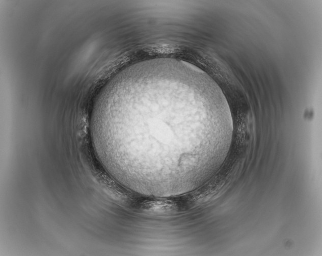 X0000093520555200710261222