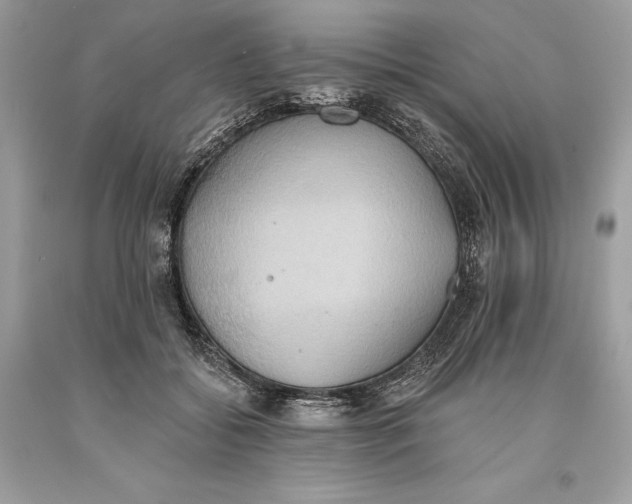 X0000093520556200710261222