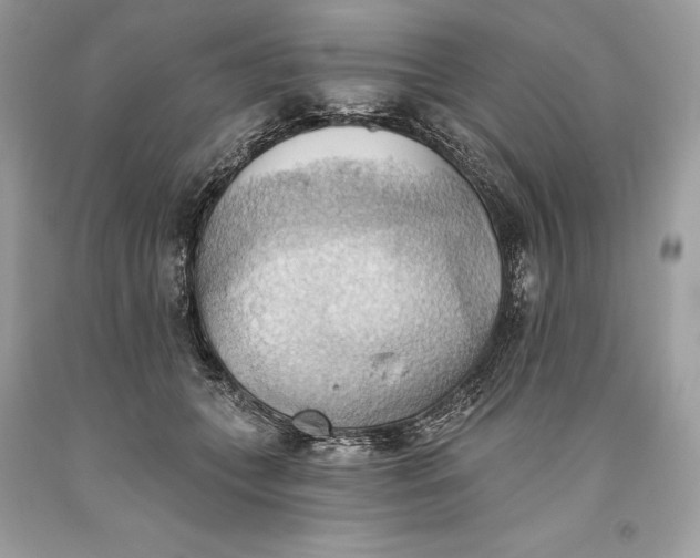 X0000093520559200710261222