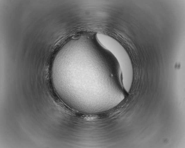 X0000093520560200710261222