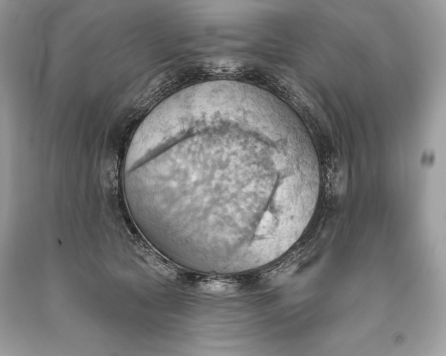 X0000093520561200710261222