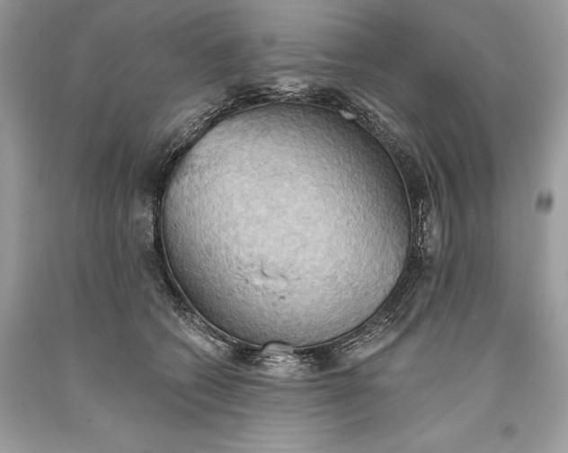 X0000093520562200710261222