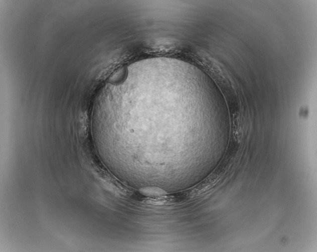 X0000093520563200710261222