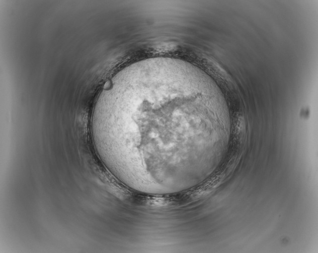 X0000093520565200710261222