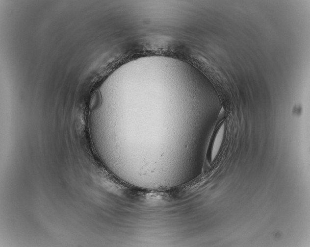 X0000093520566200710261222