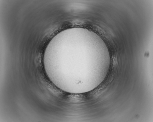 X0000093520567200710261222