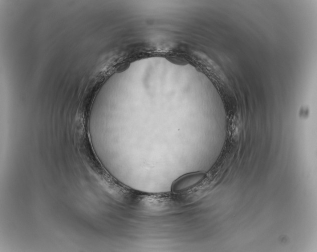 X0000093520568200710261222