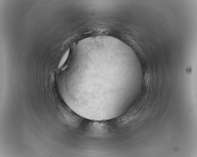 X0000093520570200710261222