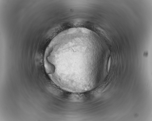 X0000093520571200710261222