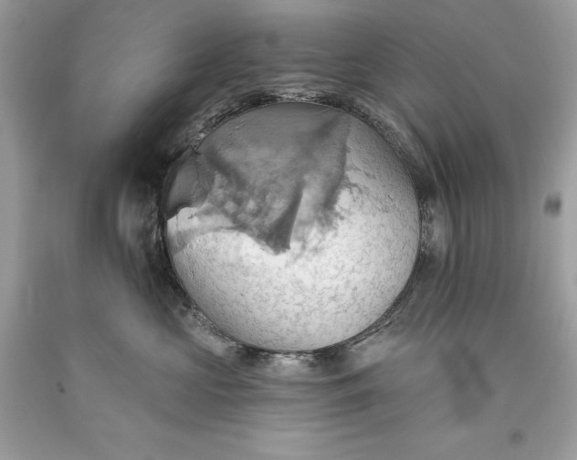 X0000093520573200710261222