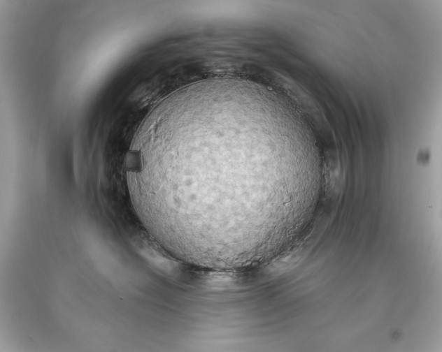 X0000093520574200710261222